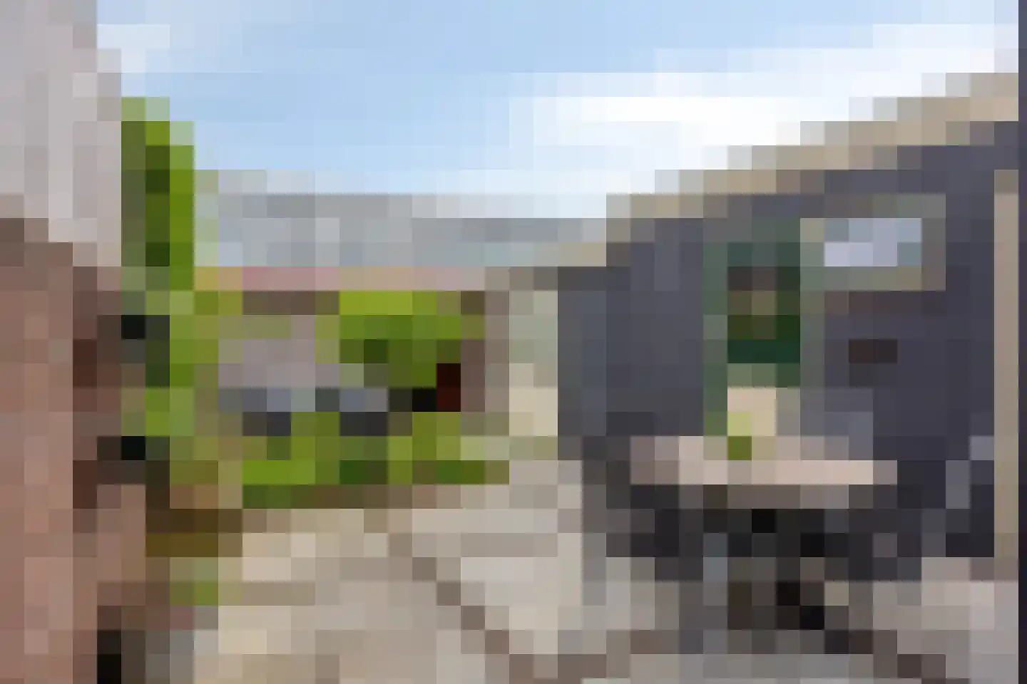 Hoogweg 18 De Lier thumbnail 32