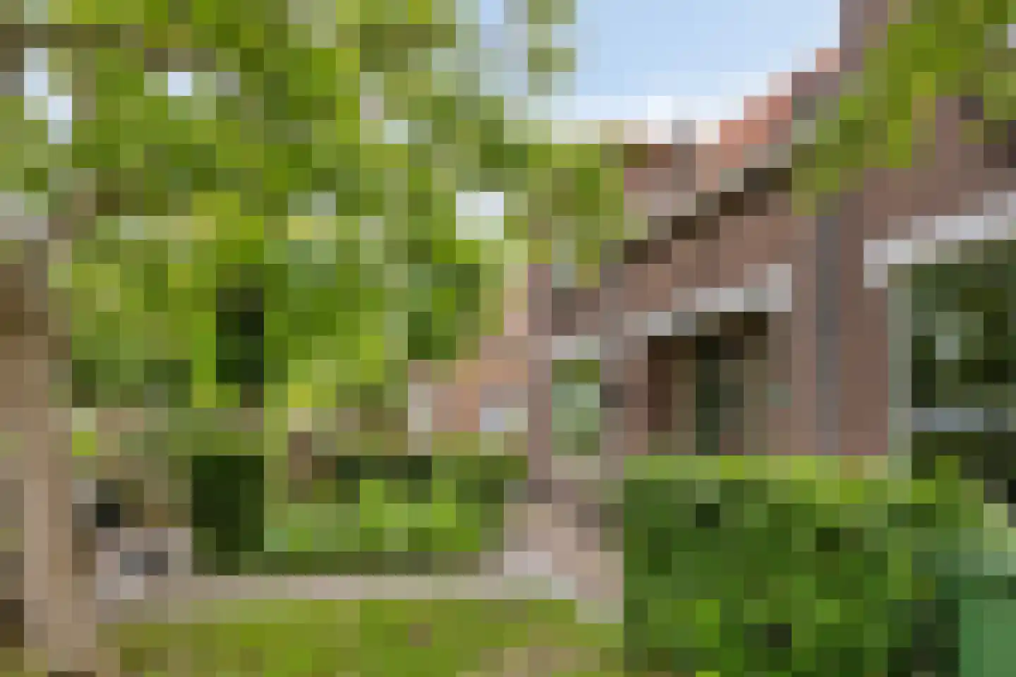 Hoogweg 18 De Lier thumbnail 34