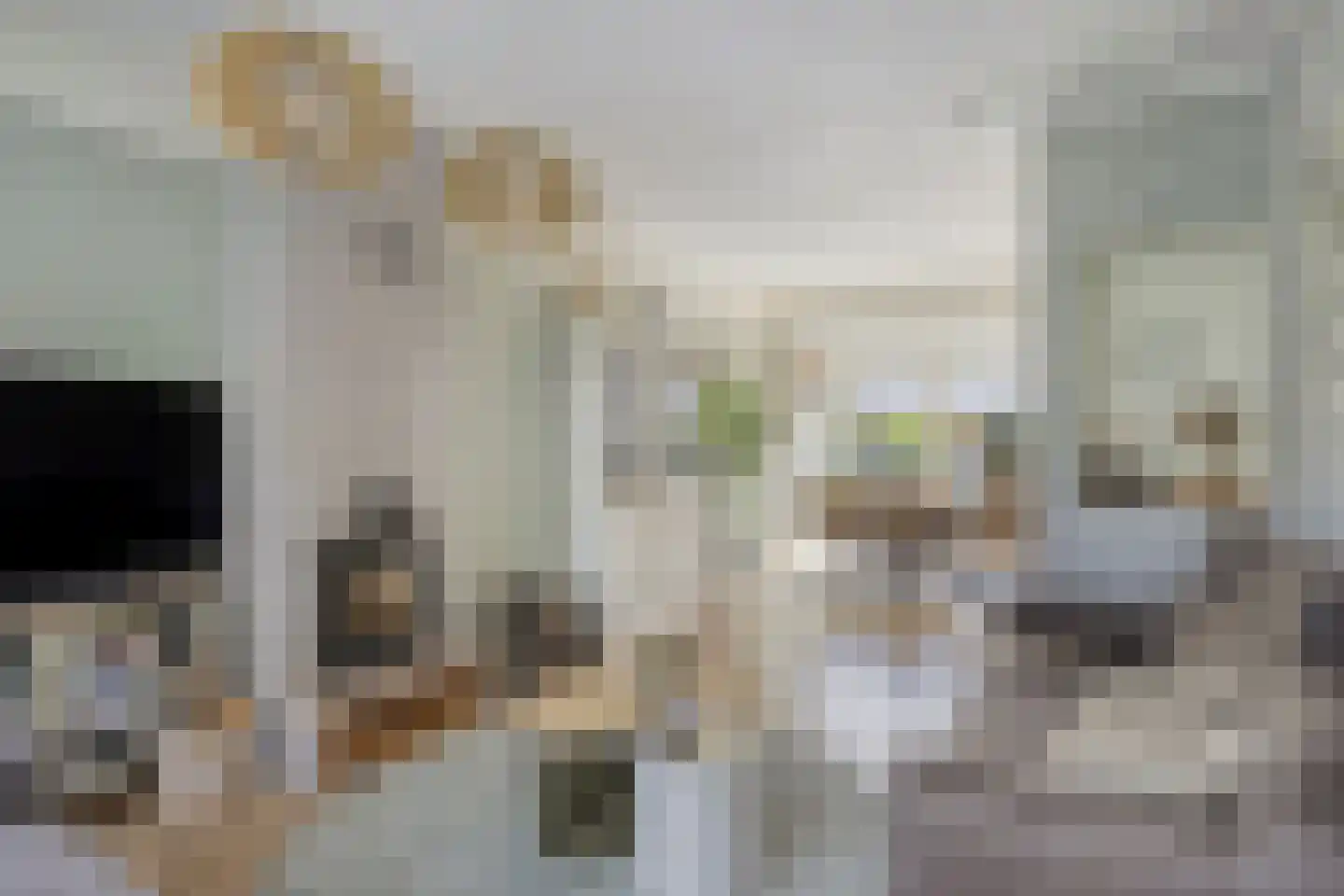 Hoogweg 18 De Lier thumbnail 6