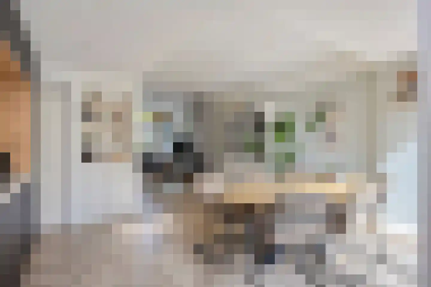 Hoogweg 18 De Lier thumbnail 9