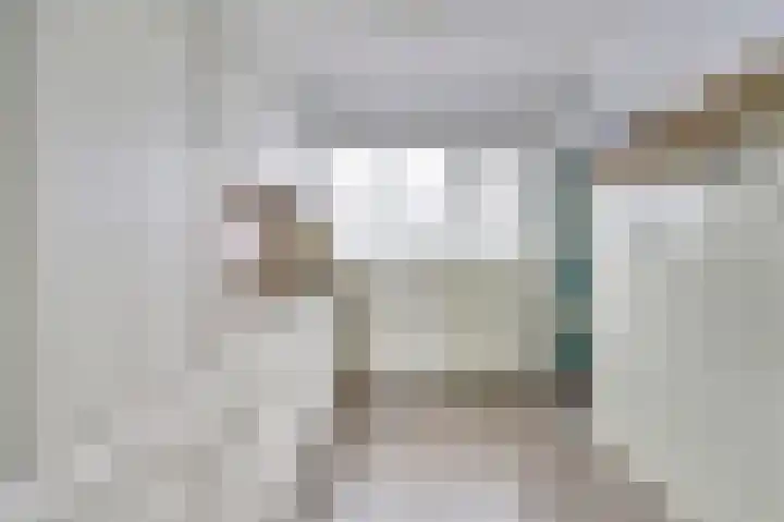 Hoogweg 24 De Lier thumbnail 17