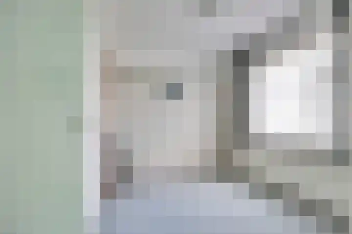Hoogweg 24 De Lier thumbnail 24