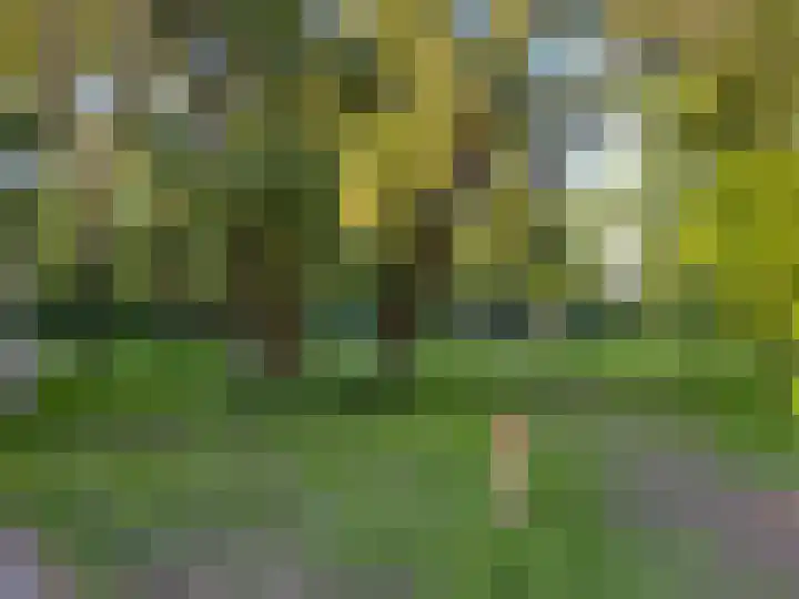 Hoogwerf 2 Pijnacker thumbnail 33
