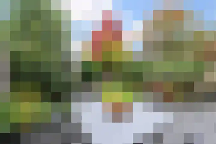 Hoogwerf 2 Pijnacker thumbnail 4