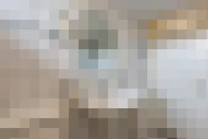 Hoogwerf 4 Zuidland thumbnail 17