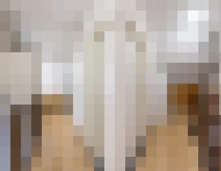 Hoogwerf 4 Zuidland thumbnail 20
