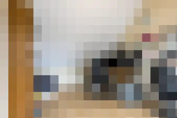 Hoogwerf 4 Zuidland thumbnail 21