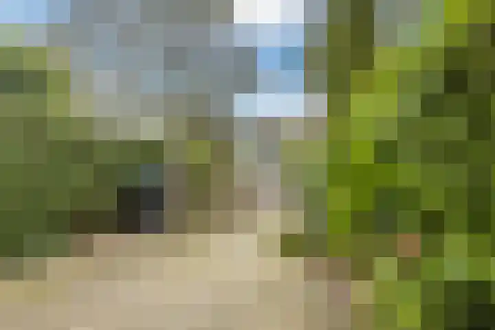 Hoogwerf 4 Zuidland thumbnail 23