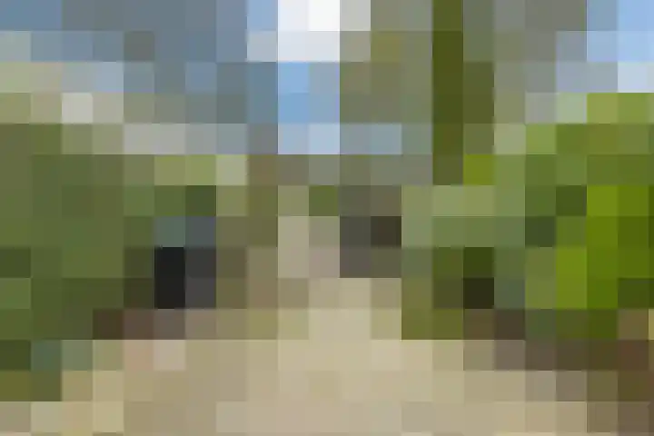 Hoogwerf 4 Zuidland thumbnail 24