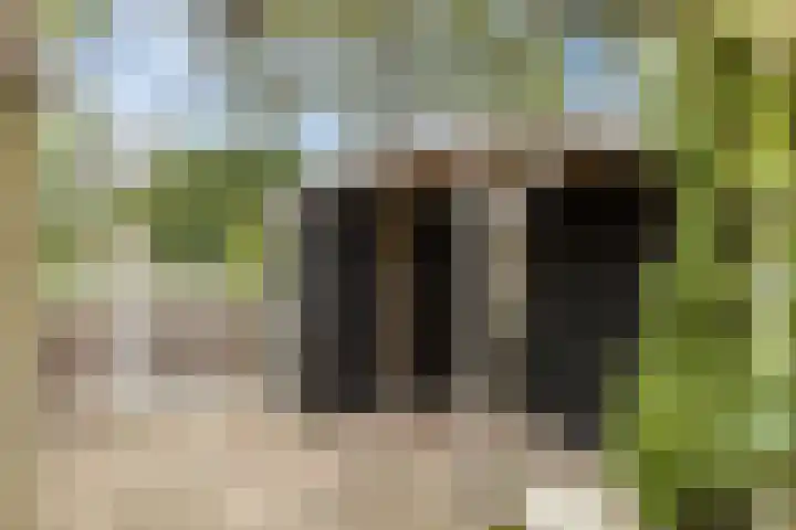 Hoogwerf 4 Zuidland thumbnail 25