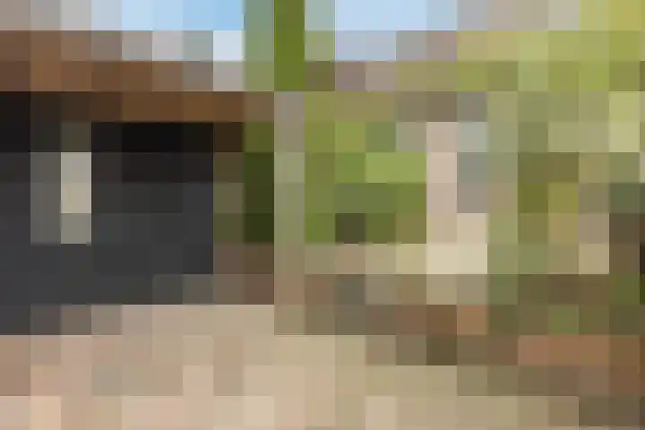Hoogwerf 4 Zuidland thumbnail 26