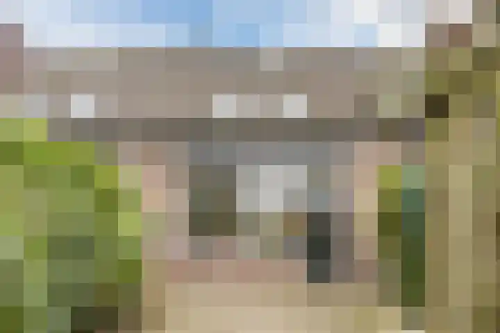 Hoogwerf 4 Zuidland thumbnail 27