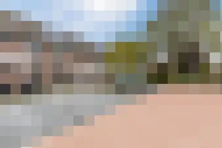 Hoogwerf 4 Zuidland thumbnail 28