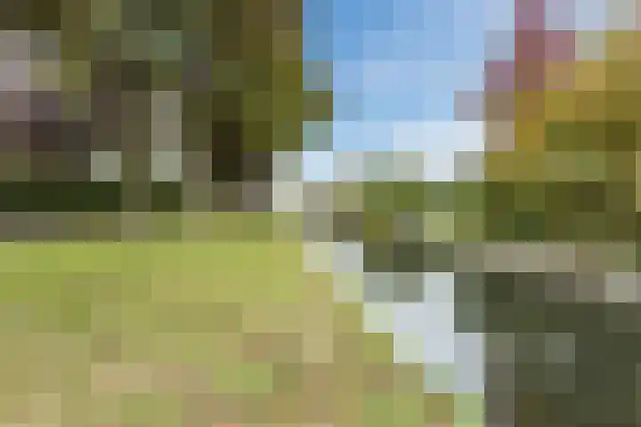 Hoogwerf 4 Zuidland thumbnail 29