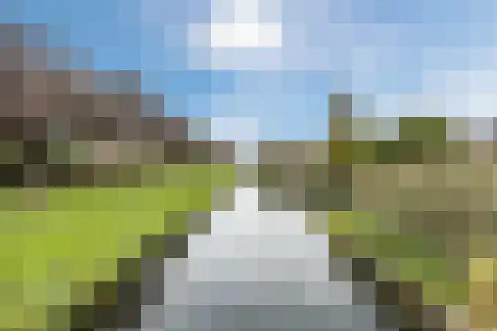 Hoogwerf 4 Zuidland thumbnail 30