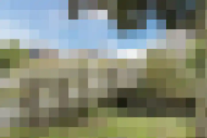 Hoogwerf 4 Zuidland thumbnail 31