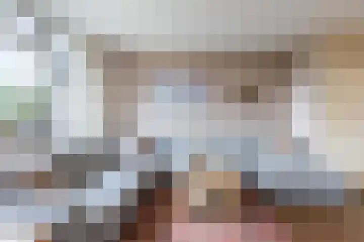 Hoogwerf 4 Zuidland thumbnail 4