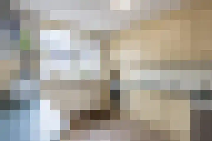 Hoogwerf 4 Zuidland thumbnail 6