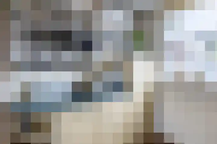 Hoogwerf 4 Zuidland thumbnail 8