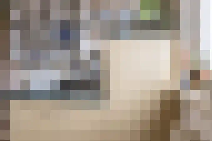 Hoogwerf 4 Zuidland thumbnail 9