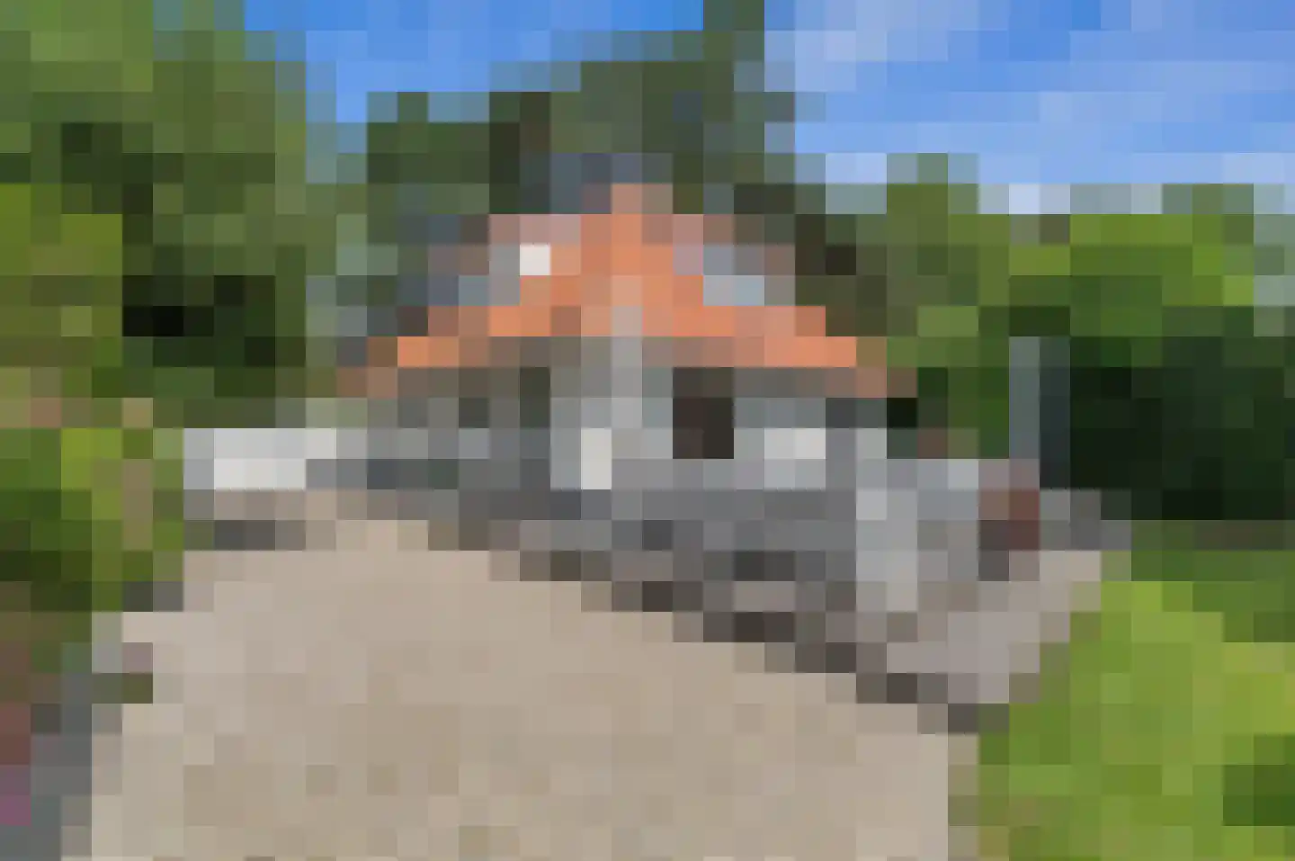 Hoogwerflaan 31 Den Haag thumbnail 21