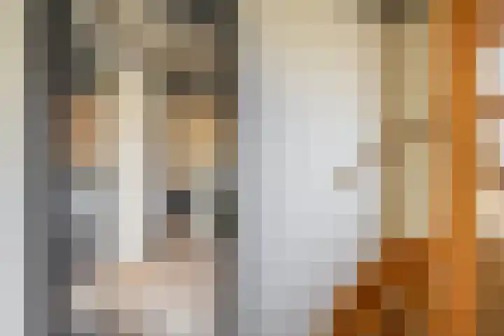 Hoogwerfsingel 23 Spijkenisse thumbnail 31