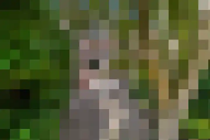 Hoogwerfsingel 23 Spijkenisse thumbnail 5