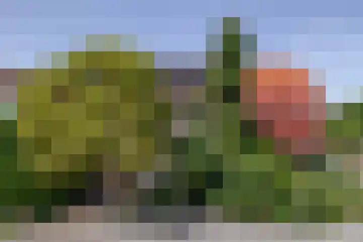 Hoogwerfsingel 23 Spijkenisse thumbnail 6
