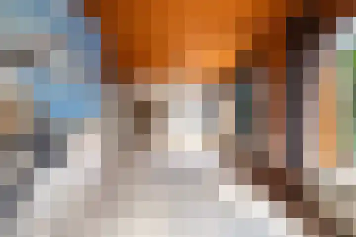 Hoogwerfsingel 31 Spijkenisse thumbnail 15