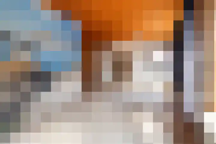 Hoogwerfsingel 31 Spijkenisse thumbnail 17