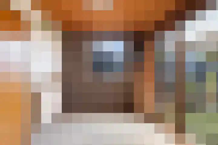 Hoogwerfsingel 31 Spijkenisse thumbnail 20
