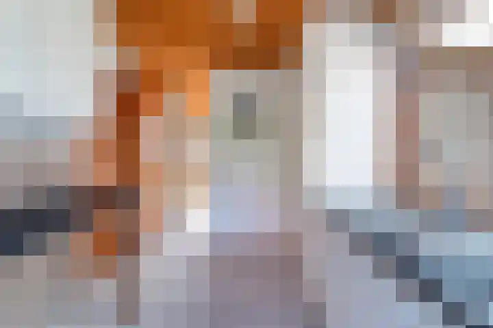 Hoogwerfsingel 31 Spijkenisse thumbnail 25