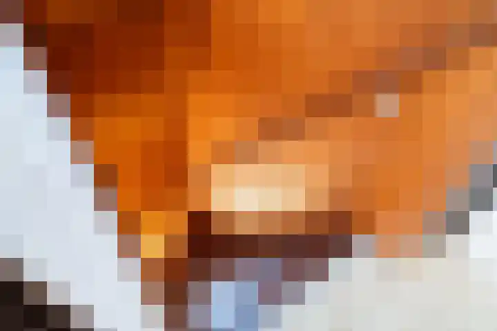 Hoogwerfsingel 31 Spijkenisse thumbnail 31