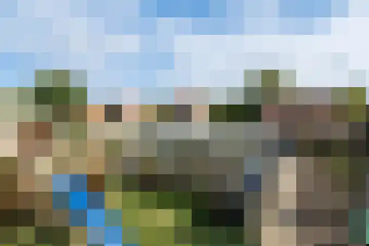 Hoogwerfsingel 31 Spijkenisse thumbnail 44