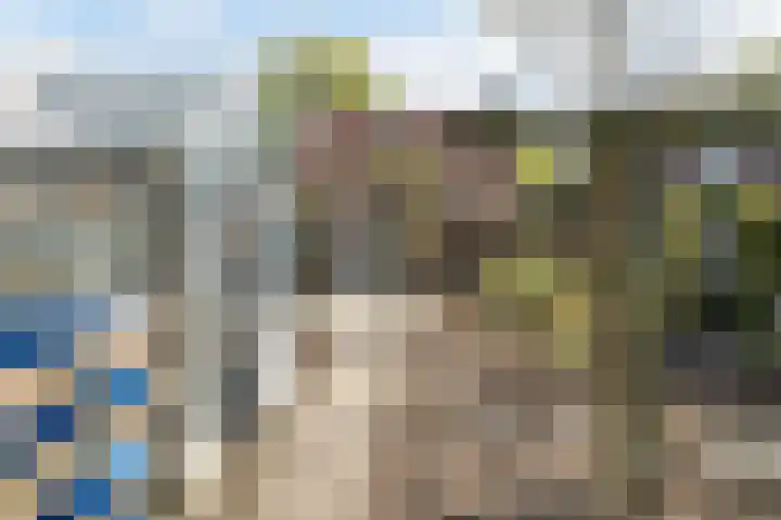 Hoogwerfsingel 31 Spijkenisse thumbnail 46