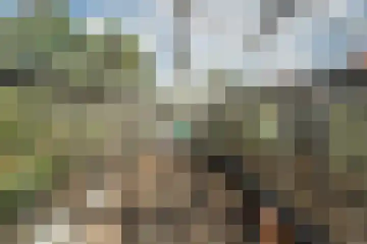 Hoogwerfsingel 31 Spijkenisse thumbnail 47