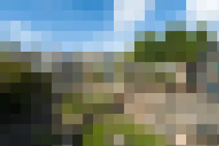 Hoogwerfsingel 31 Spijkenisse thumbnail 48