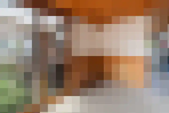 Hoogwerfsingel 31 Spijkenisse thumbnail 7