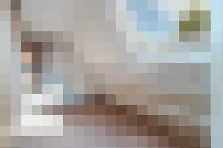 Hoogwerfsingel 31 Spijkenisse thumbnail 8