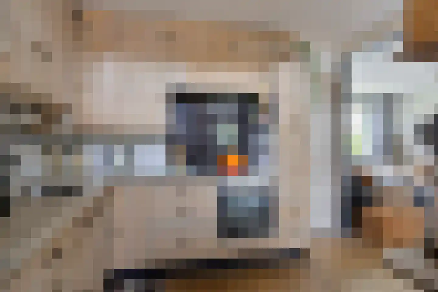 Hoogzijde 50 Marknesse thumbnail 16