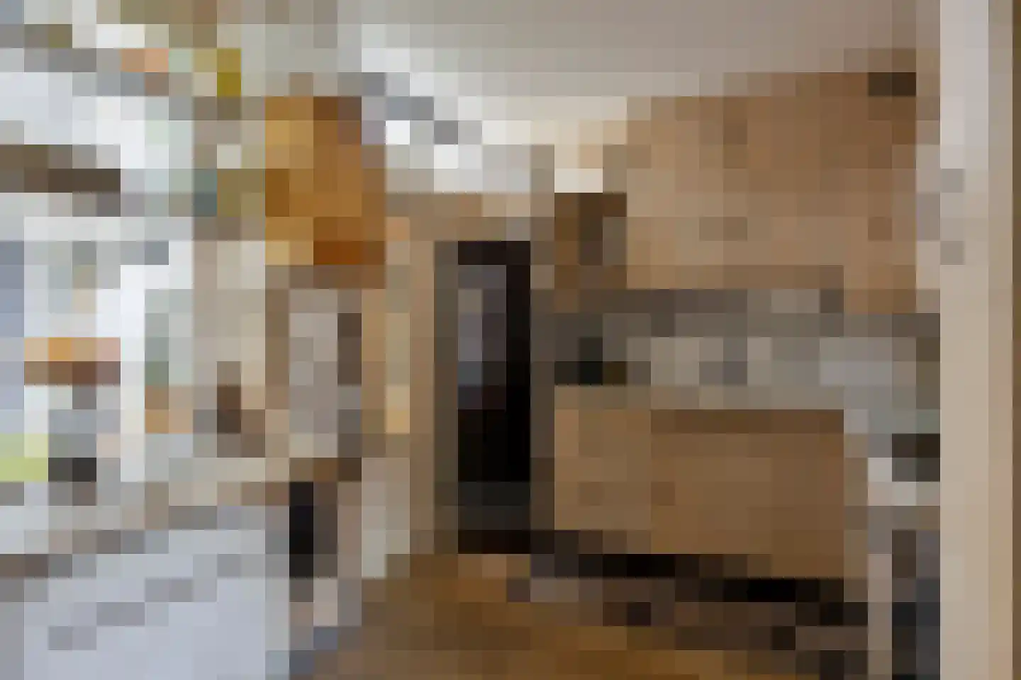 Hoogzijde 50 Marknesse thumbnail 17