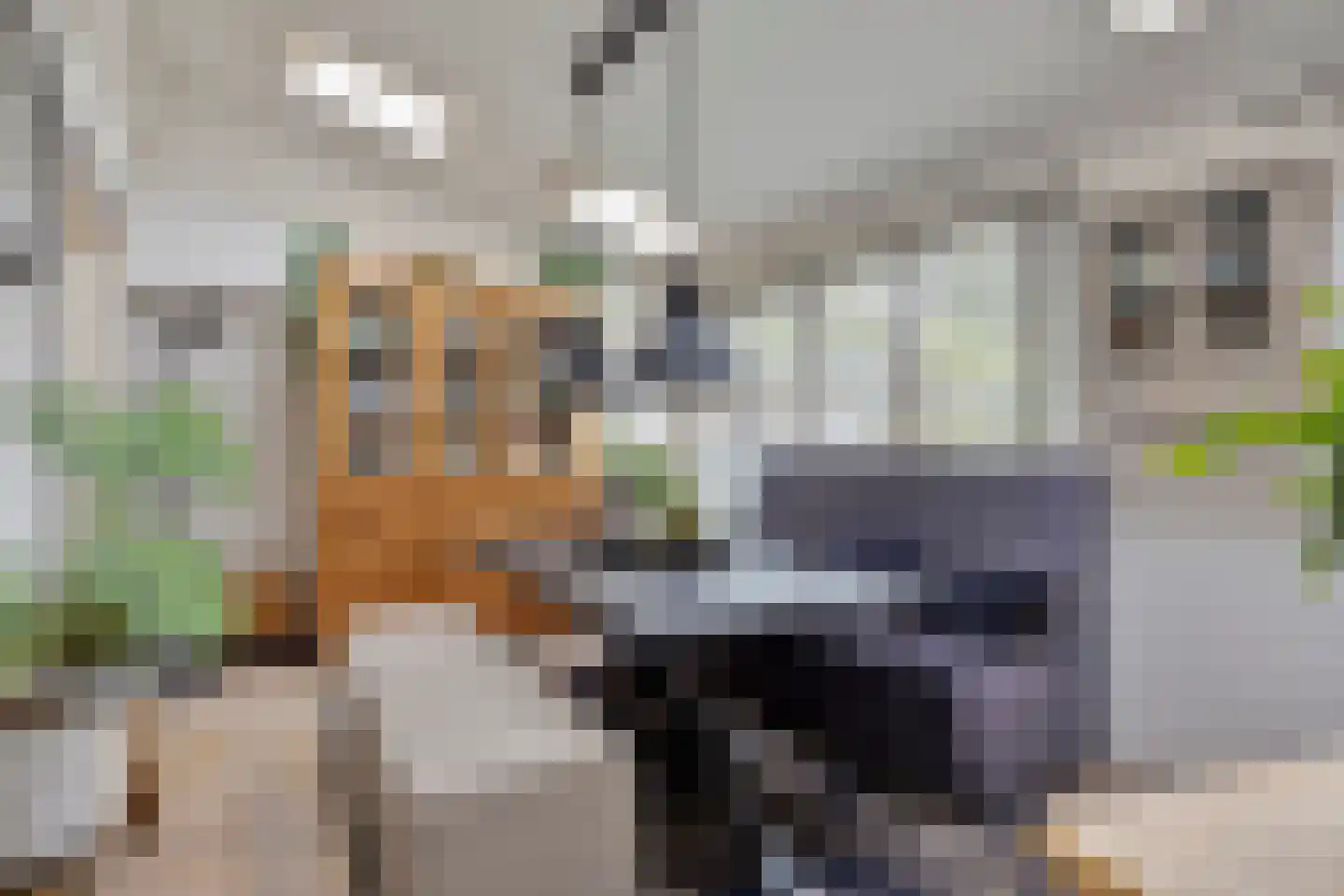 Hoogzijde 50 Marknesse thumbnail 20