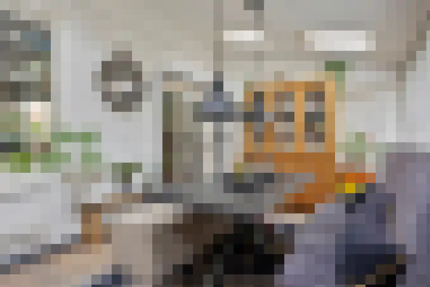 Hoogzijde 50 Marknesse thumbnail 21
