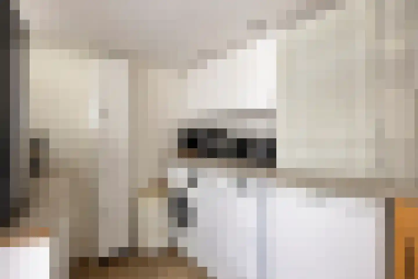 Hoogzijde 50 Marknesse thumbnail 24