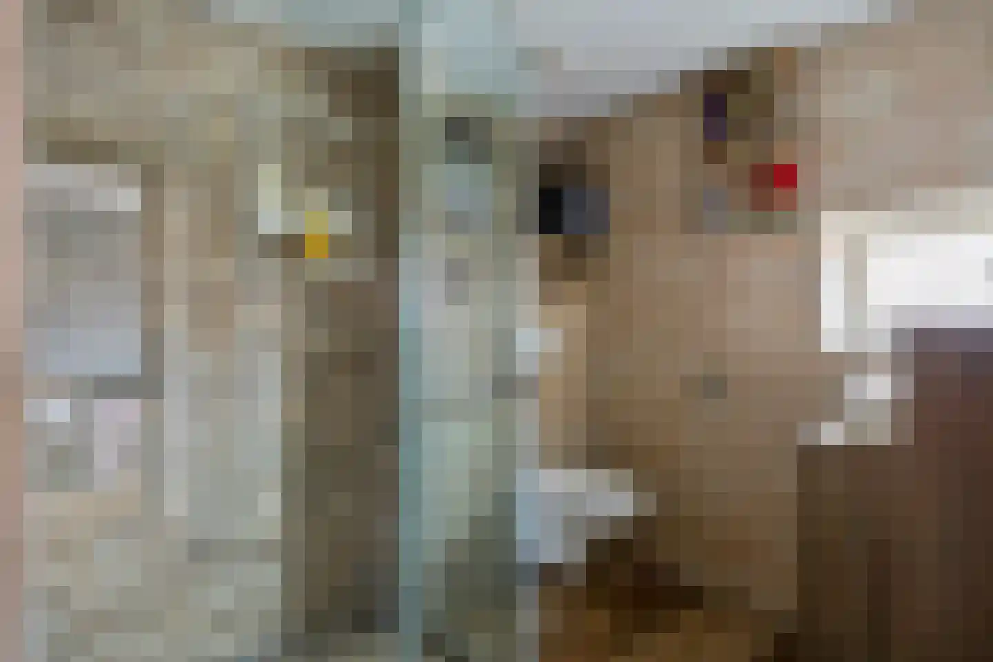 Hoogzijde 50 Marknesse thumbnail 29