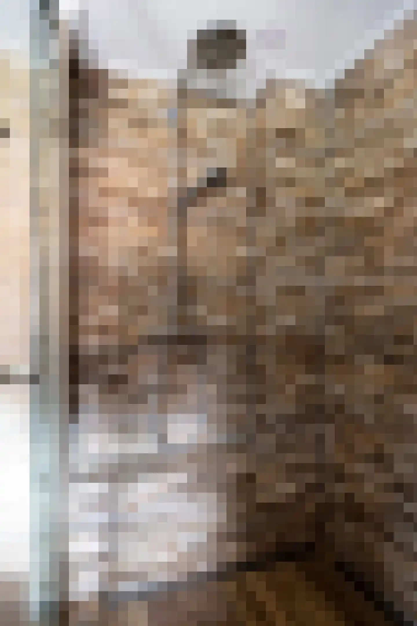 Hoogzijde 50 Marknesse thumbnail 30