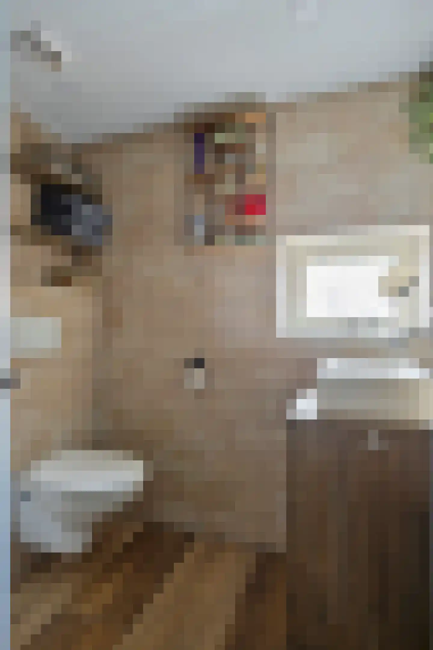 Hoogzijde 50 Marknesse thumbnail 33