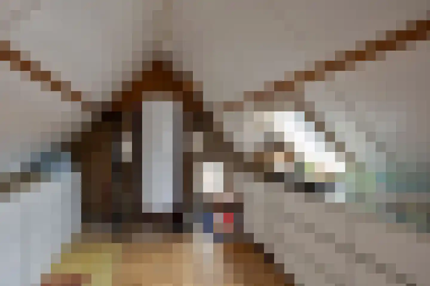 Hoogzijde 50 Marknesse thumbnail 36