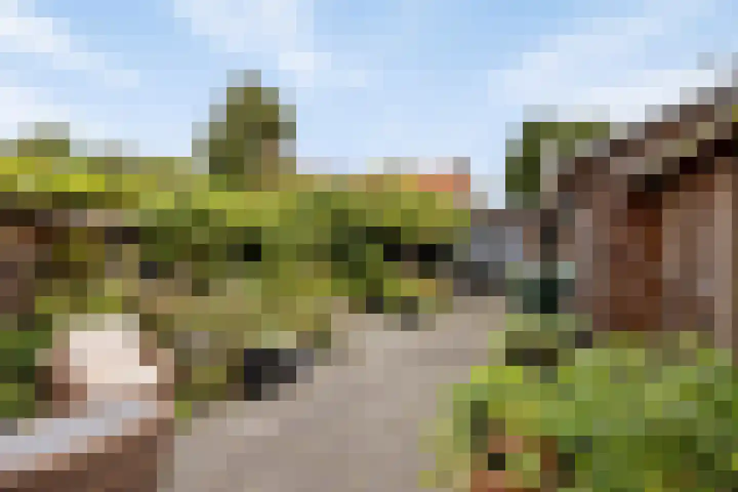 Hoogzijde 50 Marknesse thumbnail 39
