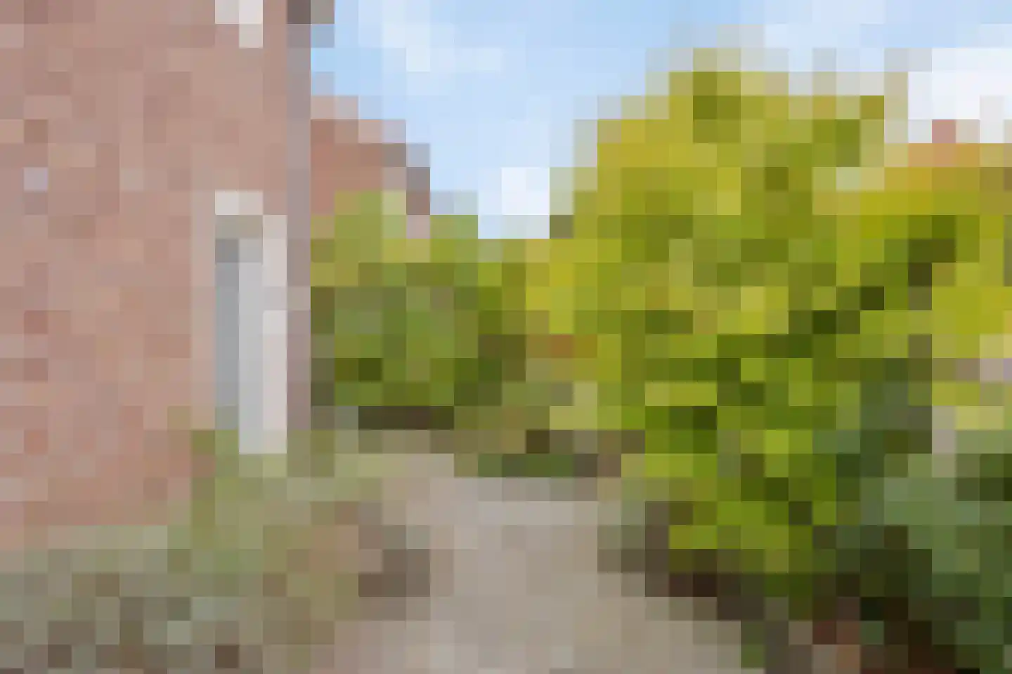 Hoogzijde 50 Marknesse thumbnail 4